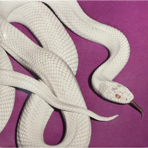 Deftones - Private Music (Alternate Cover)