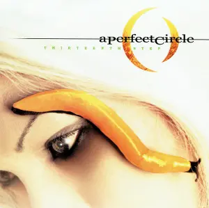 A Perfect Circle - Thirteenth Step - Vinilo Doble