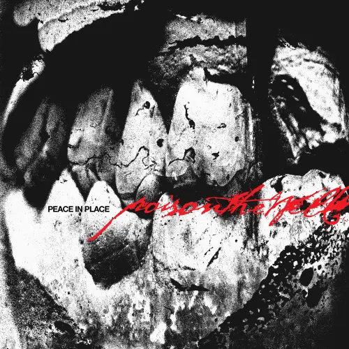 Poison The Well - Peace In Place