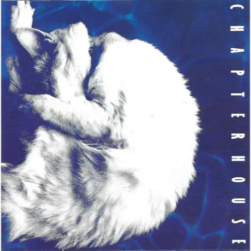 Chapterhouse - Whirlpool