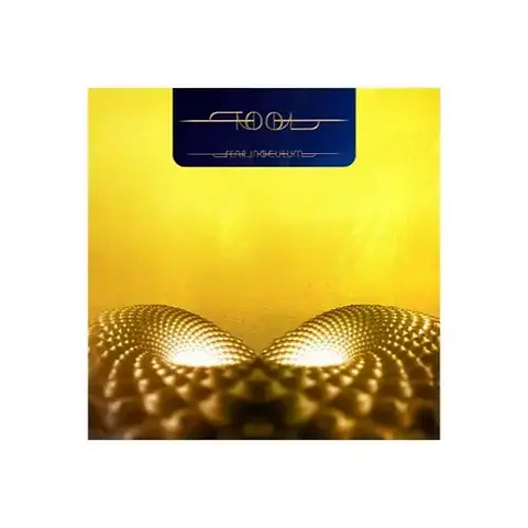 Tool – Fear Inoculum - Vinilo Triple | Chincolarecords