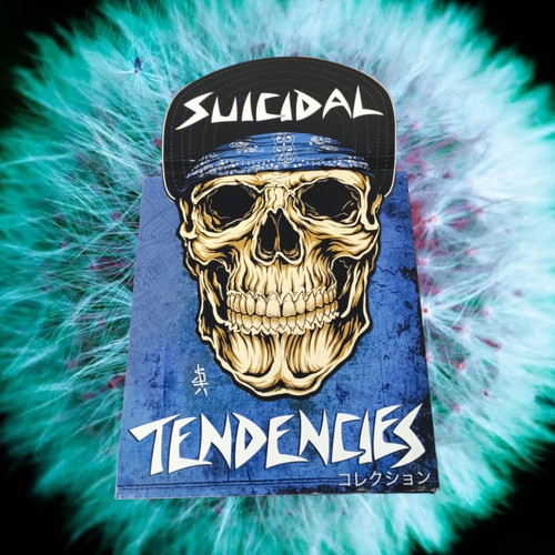 Suicidal Tendencies CD コレクション 71kco1GLP5S._UF1000,1000_QL80_.jpg