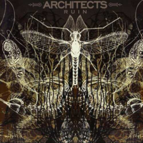 Architects - Ruin