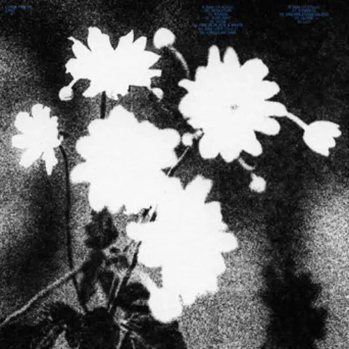 Loma Prieta - Last