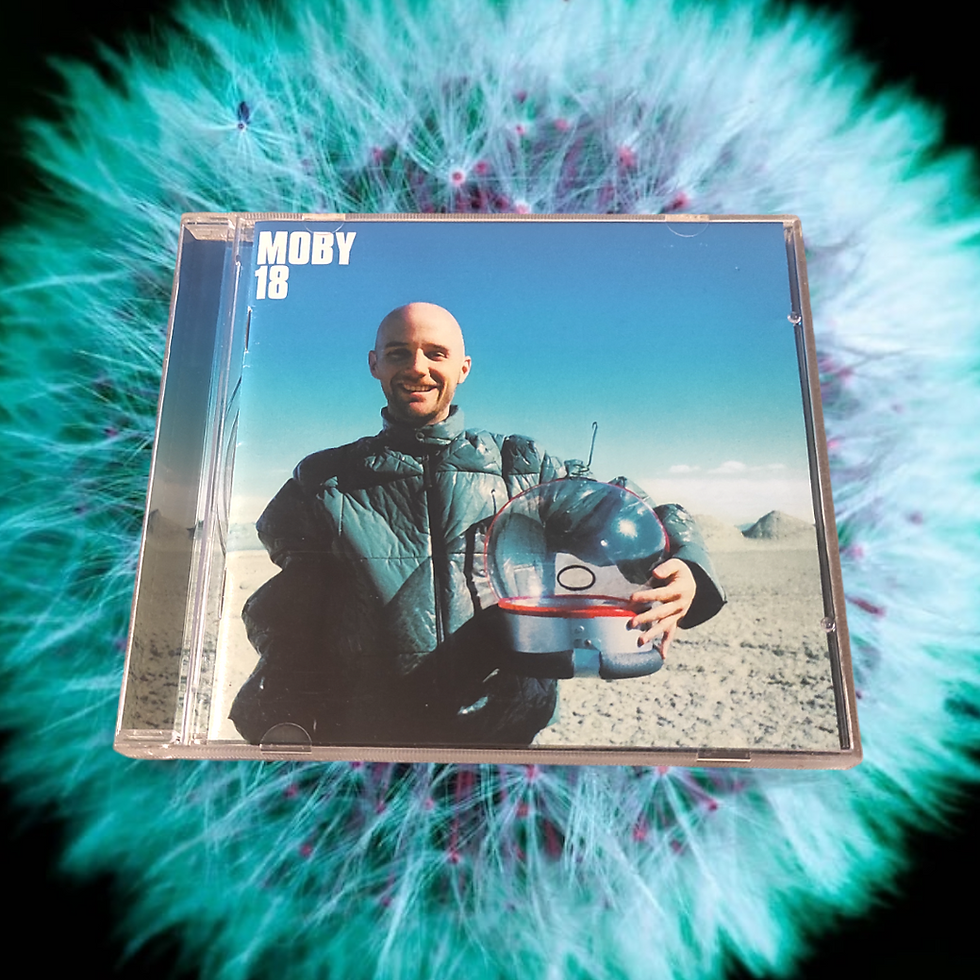 Miniatura: Moby 18