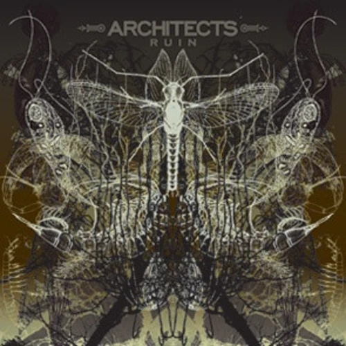 Architects - Ruin