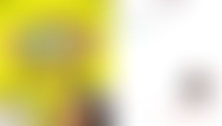 Snapchat ganha stickers, ligações por voz e outras novidades no chat individual