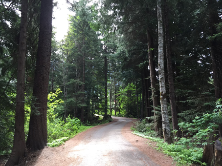 Setting Realistic and Achievable Goals