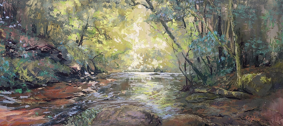 Tricia Taylor: Forest Light