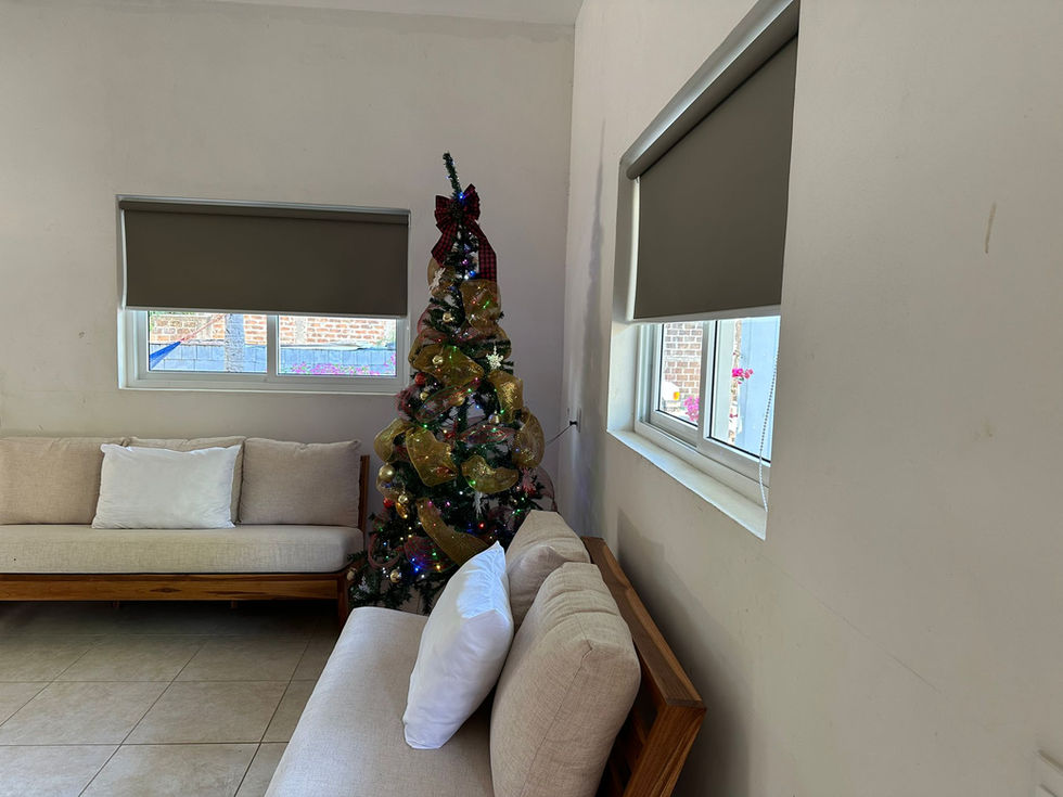 Imagen de WhatsApp 2025-03-08 a las 14.45.01_e92f6587