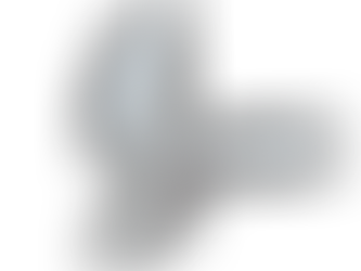 MRS. ESTHER DONALDSON