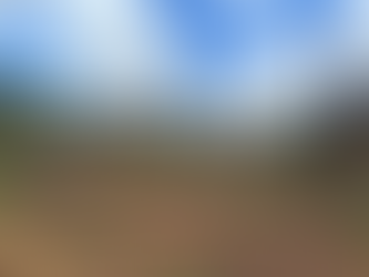 OPERACIÓN MOISÉS BERTONI EN CANINDEYÚ