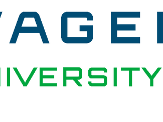 Manual for the creation of a roleplaying chatbot for educational purposes