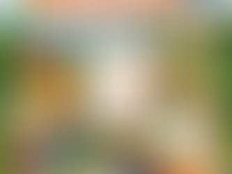 Complete Guide to the Cost of Living in Ireland for International Students