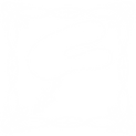 WH13.png