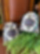 IMG_8145.jpeg