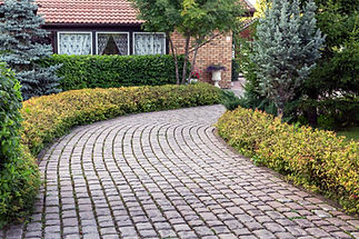 paved-alley-park-with-trimmed-bushes-trees-landscaping.jpg