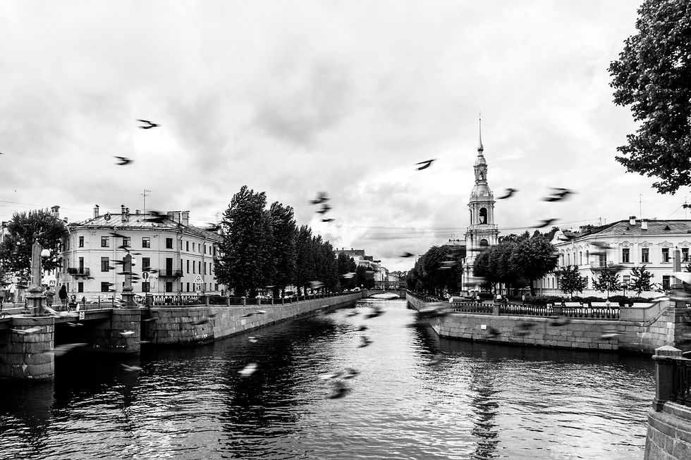 Photos of Nezador. Фотографии Nezador 