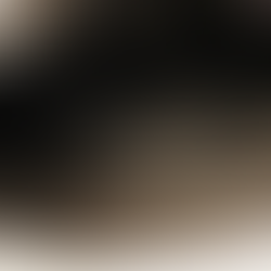 Interior of black waist wallet