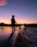 Fish at Ivanhoe Crossing