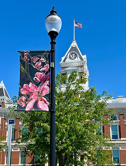 IMG_1123 2.JPG