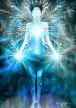 light body 2.jpeg