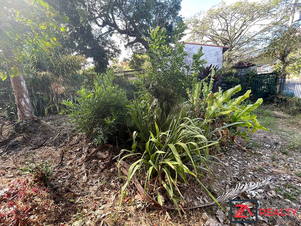 Miniatura: LOTE EN ESCAZÚ ESQUINERO USO DE SUELO MIXTO