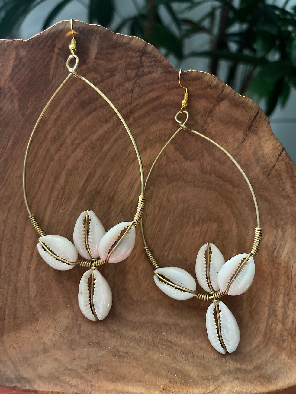 Boucles d'oreilles cauris et bronze