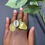 Miniature : Bague en carte d’Afrique bien lourd en bronze, cauris au centre, artisanale 