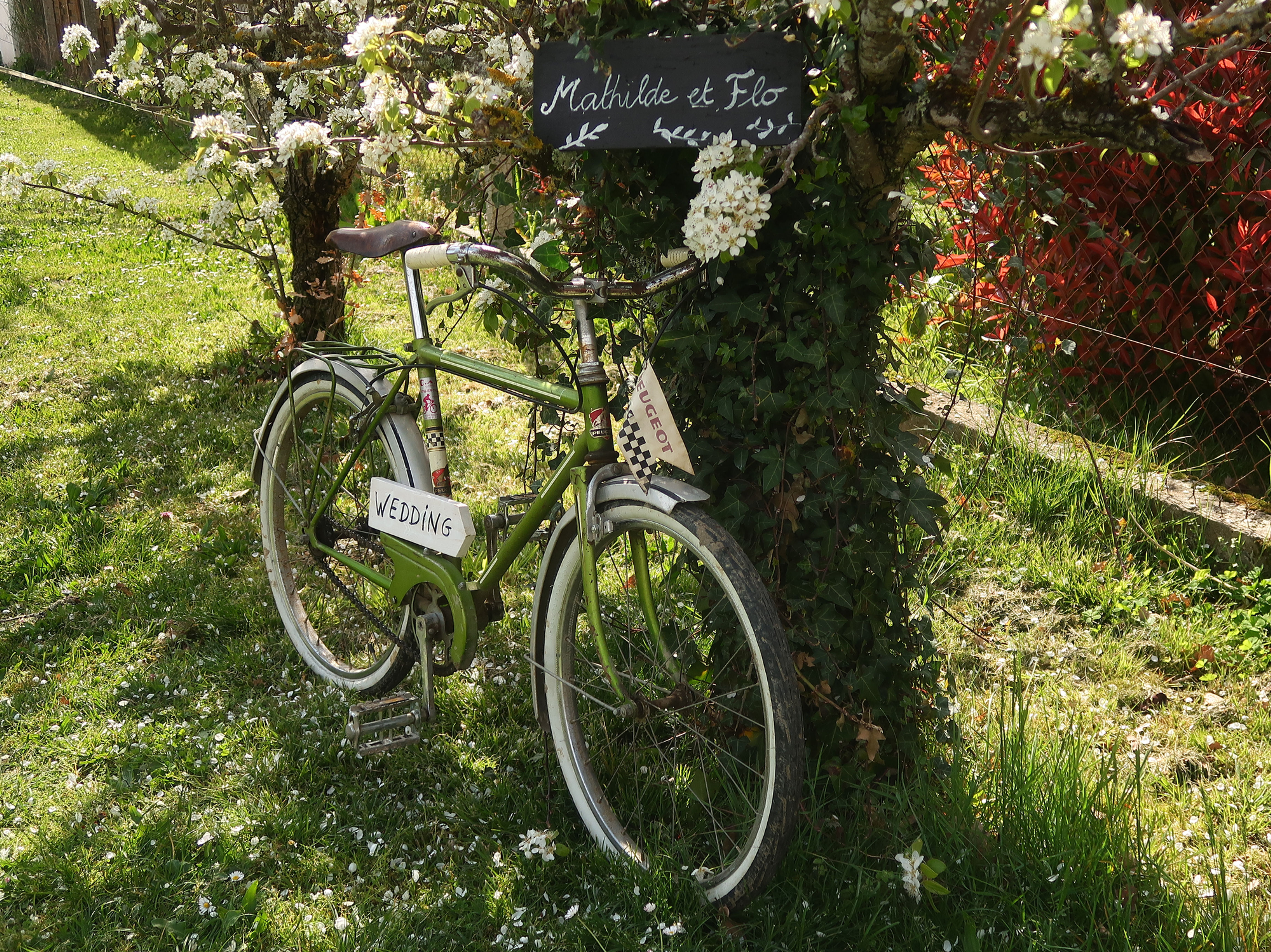 Vélo vintage Peugeot