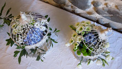 hortensias et cages à oiseau