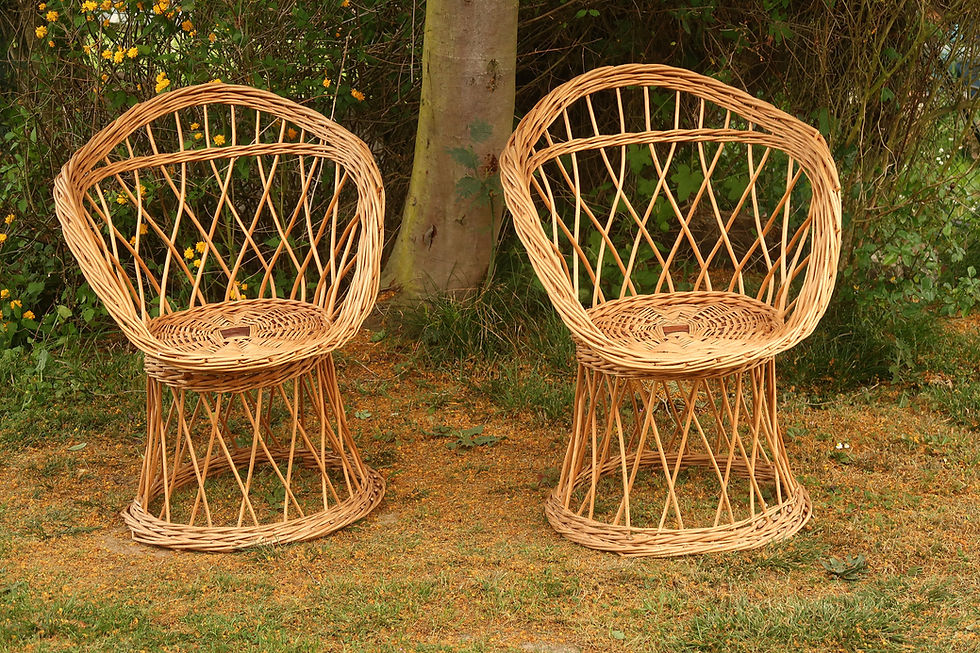 Miniature : Paire de fauteuils en rotin Saya