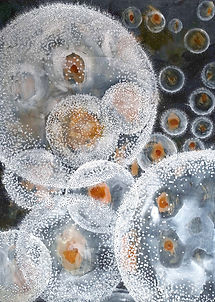 SubArc-e1617873703487-1-980x350_edited_e