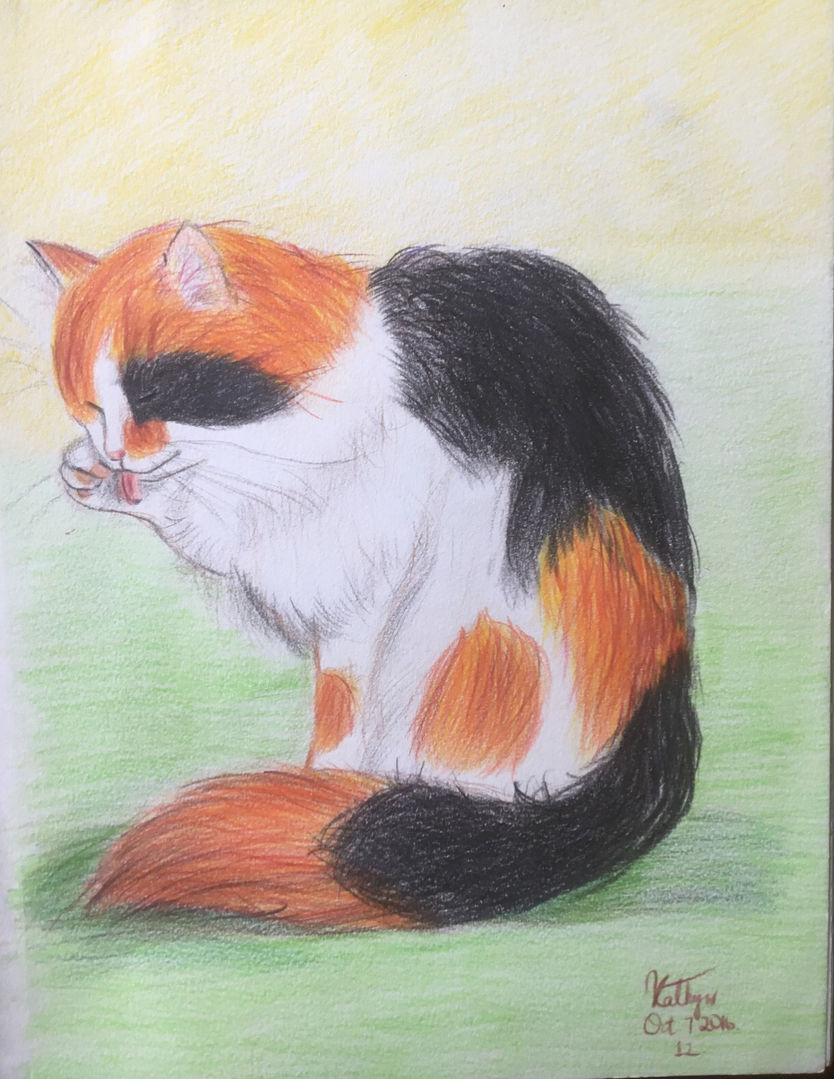 Oct 7, 2016: (Color Pencils)