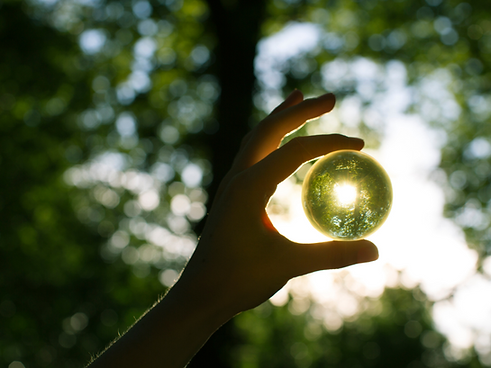 Course and Workshop.png