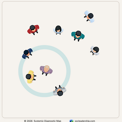 SSC Systemic Diagnostic Mapping Tool — visualizing relational forces and hidden dynamics in leadership teams