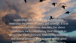 the personal journey of healing Leadership Insights from Wild Geese Migration