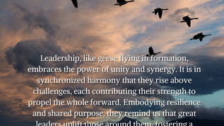 Leadership Insights from Wild Geese Migration