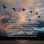 the personal journey of healing Leadership Insights from Wild Geese Migration