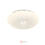 Thumbnail: Shell Ceiling Light
