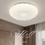 Thumbnail: Shell Ceiling Light