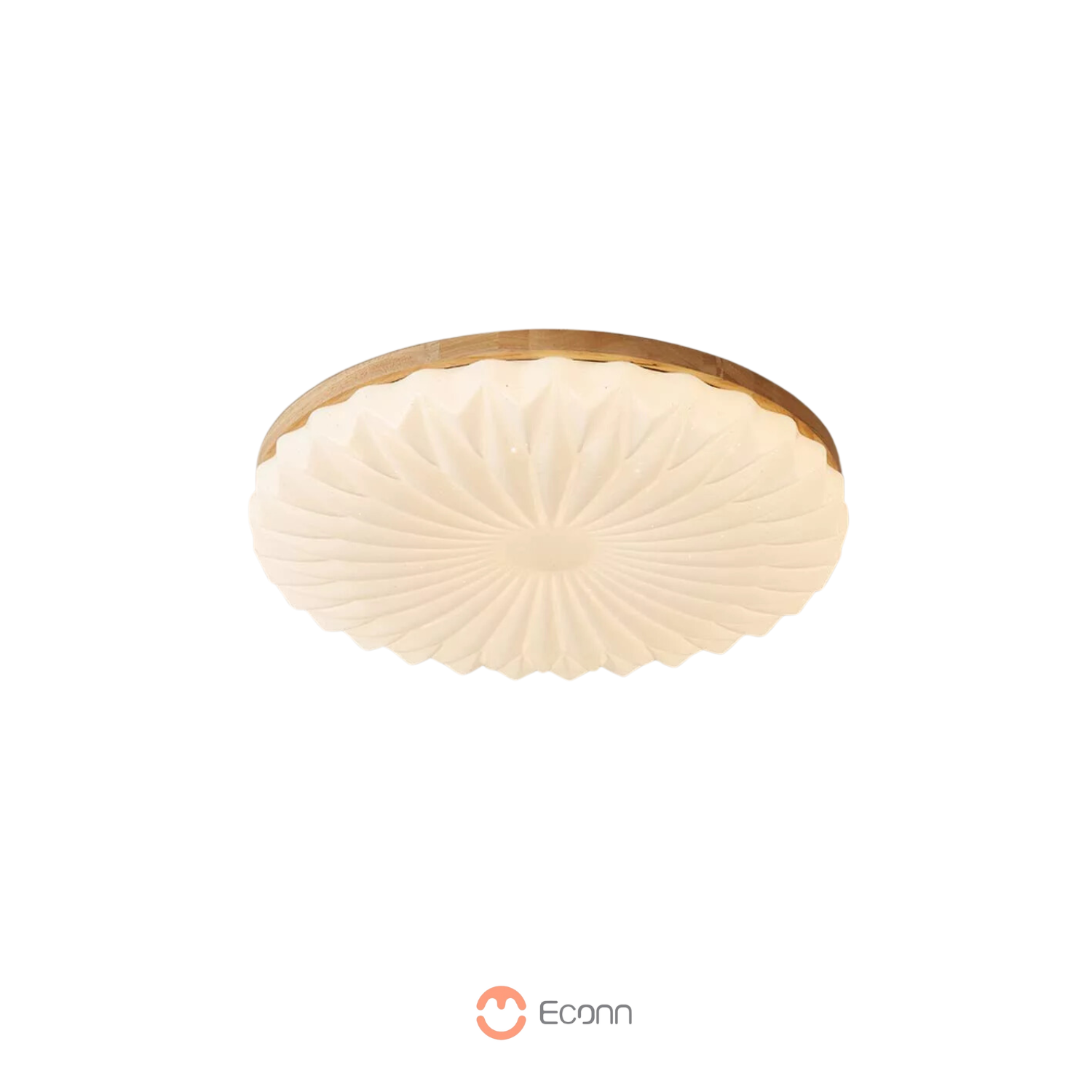 Chiffon Petal Ceiling Light