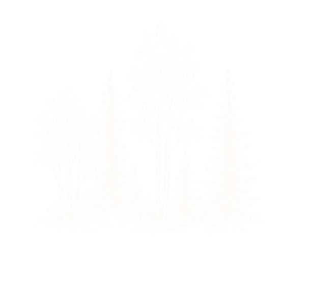 Untitled design.png