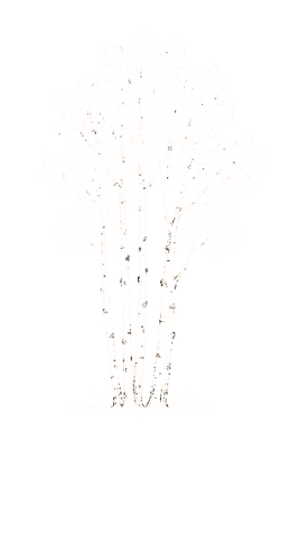 Untitled design.png