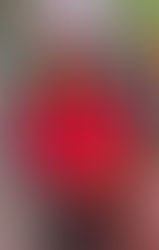 Dr Shanaz Sawyer joins Sporting Chance