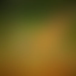 Designing for the Wild