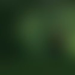 Counting Carbon: Sharing the Way to Sustainable Building Practices