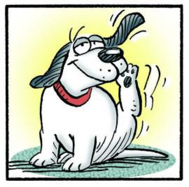 Roscoe