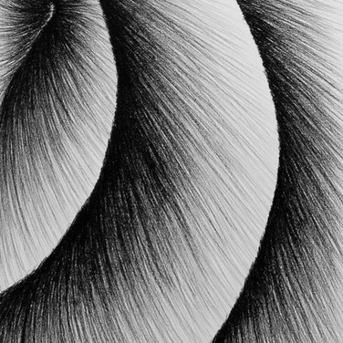 untitled image