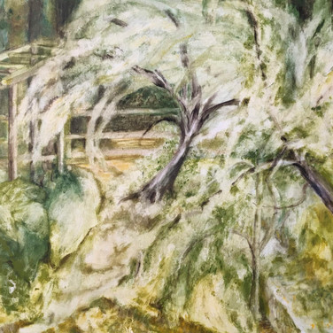 untitled image